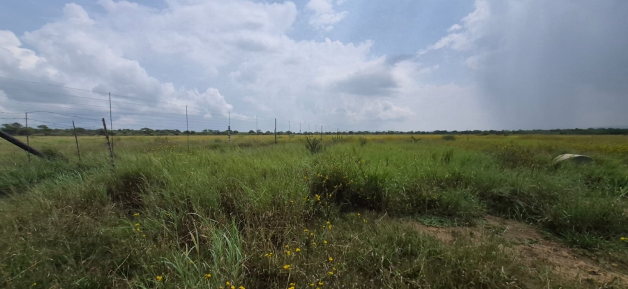 0 Bedroom Property for Sale in Koster North West